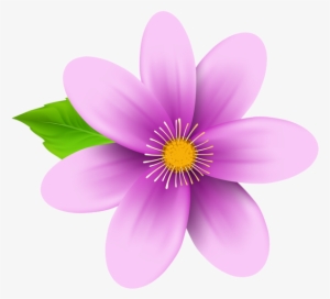 Flower Wallpaper PNG & Download Transparent Flower Wallpaper PNG Images for  Free - NicePNG