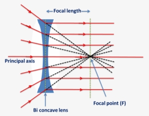 Biconcave Lens -behaviour Of Rays Passes Through Focal - Biconcave Linse
