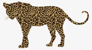Leopard, Big Cat, Feline, Animal - เสือดาว Png