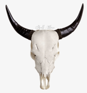 Carved Cow Skull // Xl Horns - Cow Skull