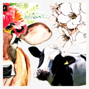 Cow Watercolor Painting