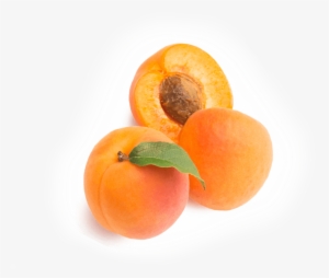 Apricot - Tangerine