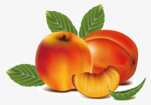 Peach Clipart Apricot - Peach Fruit Clipart
