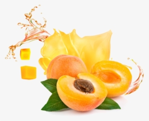Apricot Puree Single Strength - Apricot Png