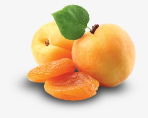 Bozkale Turkish Dried Apricot - Trade
