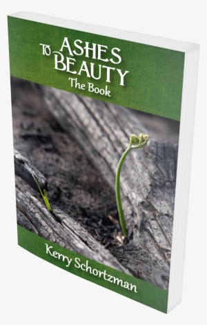 Ashes To Beauty The Book By Kerry Schortzman