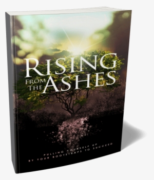 rising from the ashes - from the ashes