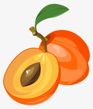 Peach Clipart Apricot - Apricot Clipart
