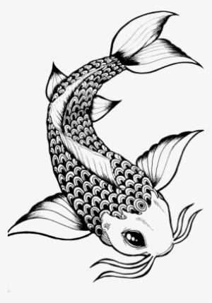 Elegant Drawing Koi Fish Transparent Stock - Koi Fish Black And White