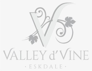 Valley Dvine Logo Light - Calligraphy