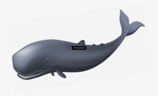 Whale Clipart - Whales