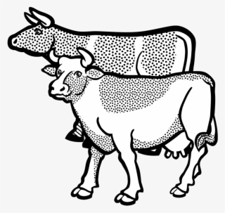 texas longhorn baka english longhorn beef cattle ayrshire - gambar sapi ilustrasi