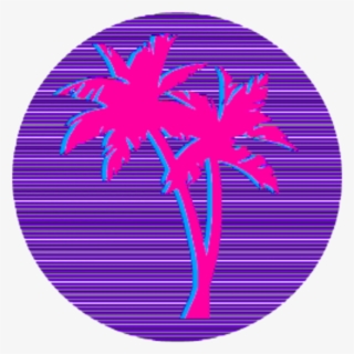 Aesthetic Transparent Palm Tree