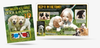 World's Cutest 3d Dogs And Puppies - 2017 Just Golden Puppies Wall Calendar - Book