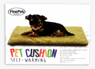 Self Warming Pet Cushion - 18"x25" Self Heating Pet Pad W/ Non Slip Base Cat Or