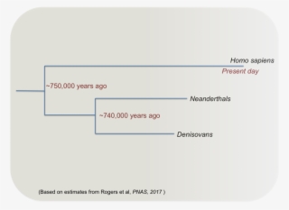 Such Regions Of The Human Genome, With Variable Methylation