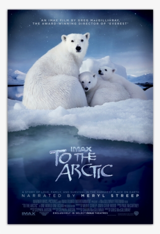 To The Arctic Poster