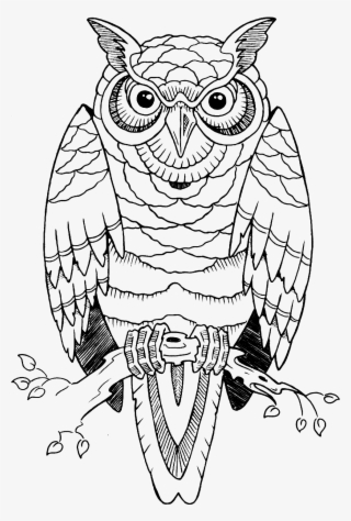 Idea Owl Drawing Tattoo Free Transparent Image Hd - Tattoo Designs Owl Simple