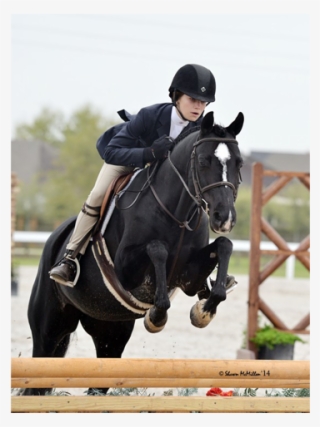 Happy Feet Owned And Ridden By Sloan Hopson Reserve - Stallion