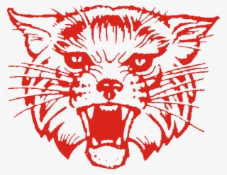 Kcs Wildcat 1 - Kenton Wildcats