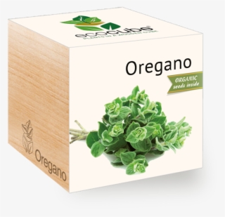 Oregano Oil 100% Natural Pure Undiluted Uncut Essential