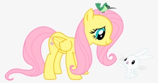 Fluttershy Images Fluttershy Wallpaper And Background - Pony Friendship Is Magic Fluttershy