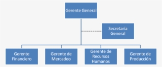 Organigrama De Gerencia - Organigrama De Gerente General