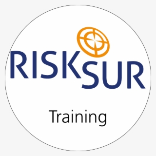 Risksur Training Modules - Excelsior College Logo Png