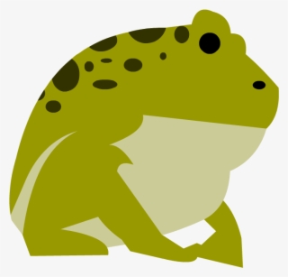 Amphibians - Science