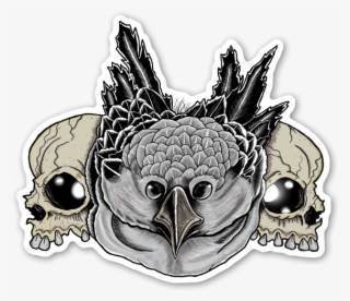 Owl Skull Sticker - Owl
