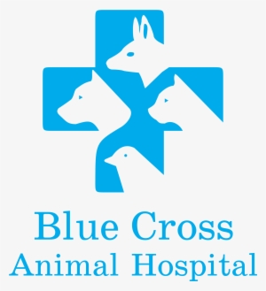 Blue Cross Animal Hospital Logo Png Transparent - Animal Hospital Logo