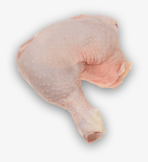 Whole Chicken Leg - Full Chicken Leg Png