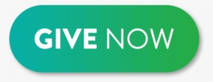 Give Now Button - Graphic Design