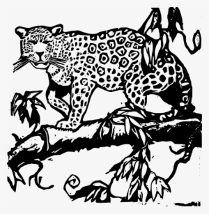 Jaguar Wood Cut Clipart Png