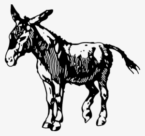 Shading, Donkey, Animal, Tail, Shade, Head, Silhouette - Donkey Clipart