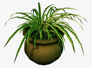 Potted Plant Png Clipart Free Library - Dead Rising 3