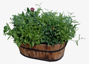 Potted Plants Png Download - Wood Flower Pots Png