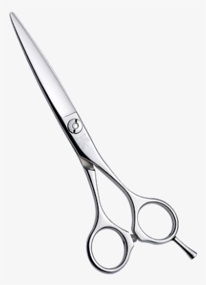At Snip N' Shape Hair And Beauty, We Are Able To Cater - Scissors