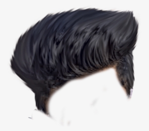 Hair Style Png Cb Hair Png - Hair Png By Sr Editing Zone