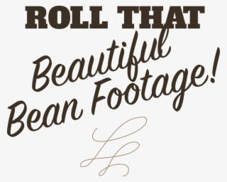 Roll That Beautiful Bean Footage - Bush's Beans Dog Meme