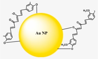 Gold Nanoparticles Capping By Curcumin Molecules - Curcumin Gold Nanoparticles