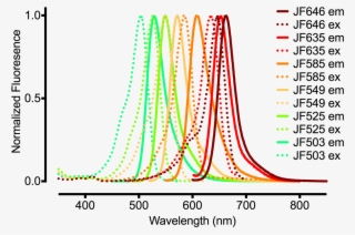 All Jf Dyes - Janelia Research Campus