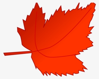Fall Leaves Cartoon - Clip Art Red Fall Leaves