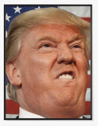 Donald Trump's Face V2 - Donald Trump Witcher