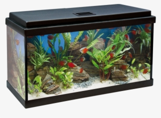 Acuario Aqualed 64l - Acuario 100 Litros Medidas