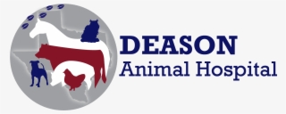 Bolf, Veterinarian At Deason Animal Hospital In Floresville