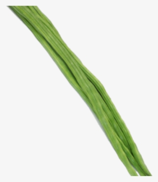 Drumstick Vegetable Png