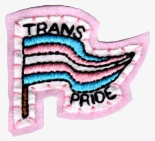 Homem Trans, Trans Pride Flag, Trans Man, Trans Boys, - Blue Trans Aesthetic Hd