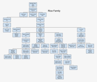 Rice Family Tree - Diagram