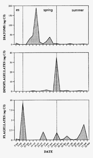 Phytoplankton Carbon Biomass Of The Main Phytoplankton